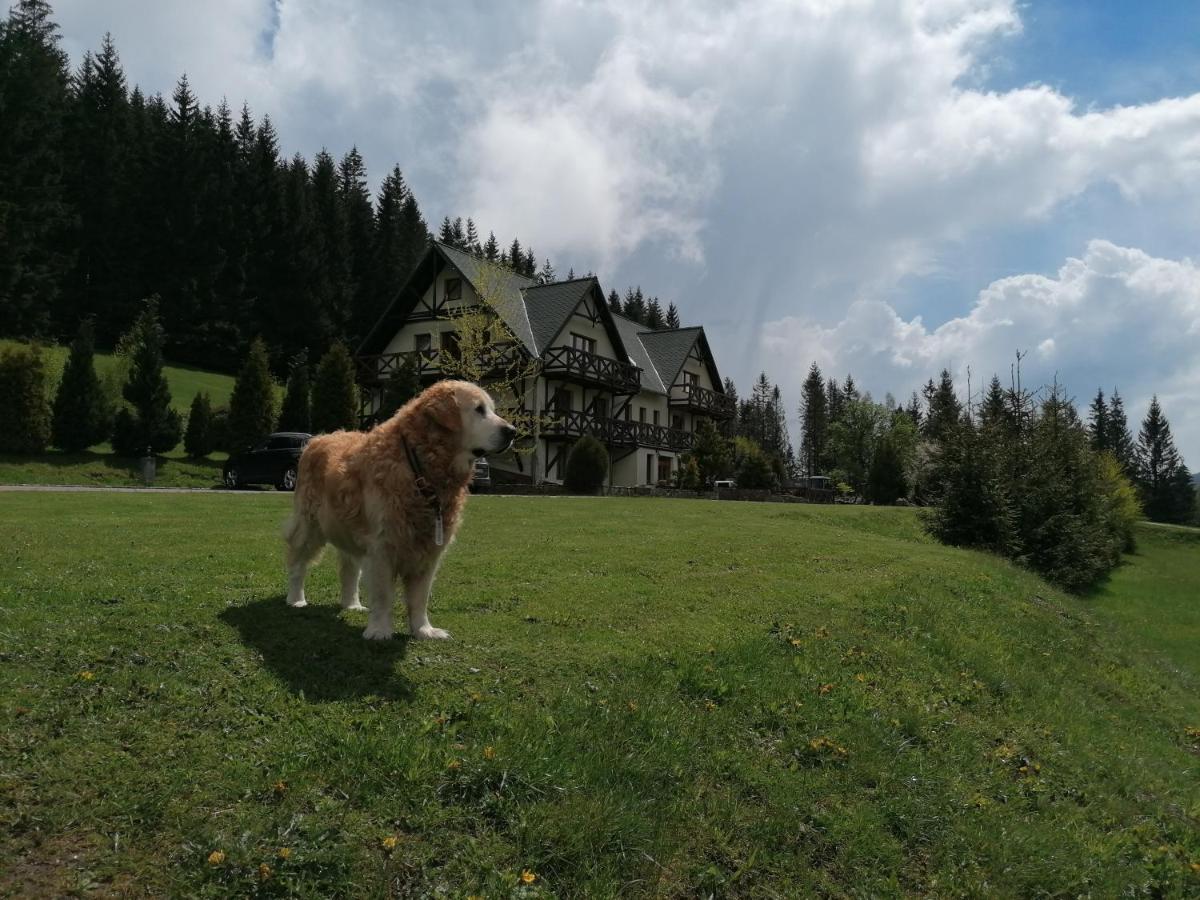 Gosciniec Janowa Gora - Agroturystyka Stronie Śląskie Dış mekan fotoğraf