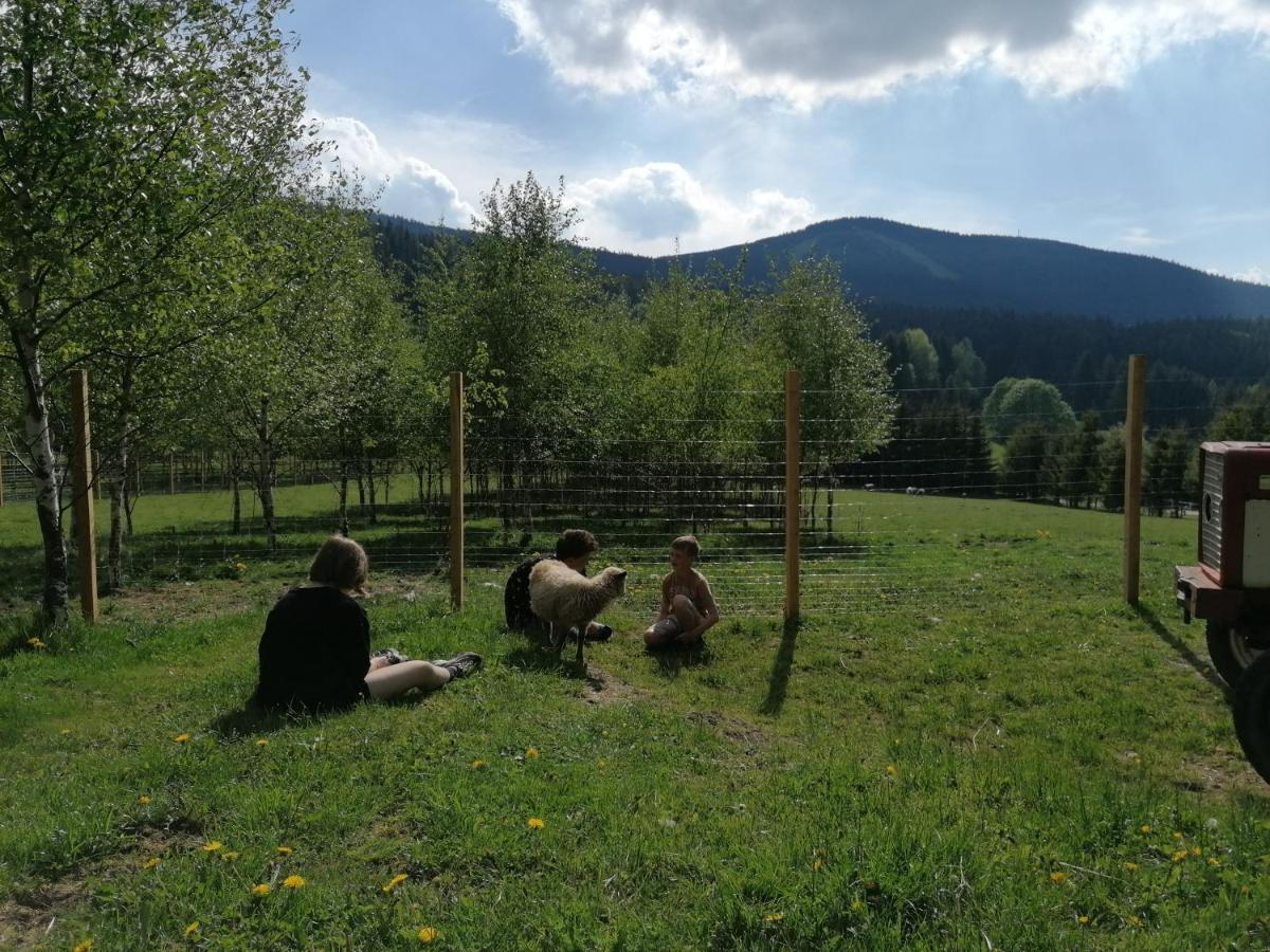 Gosciniec Janowa Gora - Agroturystyka Stronie Śląskie Dış mekan fotoğraf