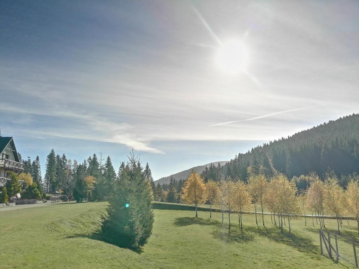 Gosciniec Janowa Gora - Agroturystyka Stronie Śląskie Dış mekan fotoğraf